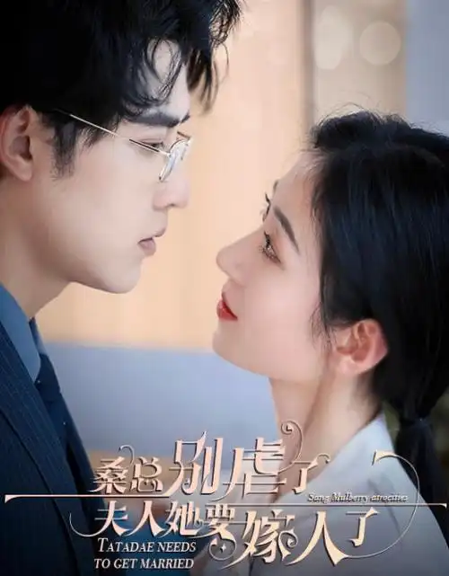 我的阿勒泰 热映海报